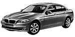 BMW F10 P00E0 Fault Code
